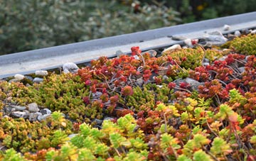 the cost of Weston In Arden green roof installation