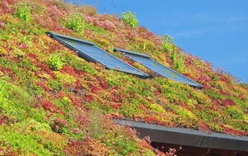 Weston In Arden living roof systems