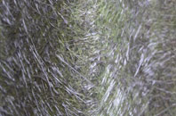 Weston In Arden fibreglass roof work